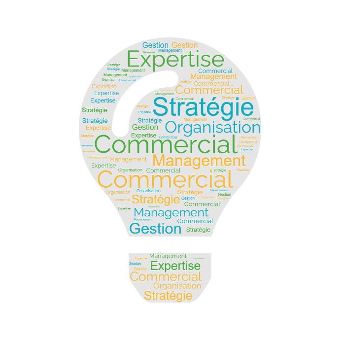 Organisation, management, stratégie de PME Expertises de Forgacom