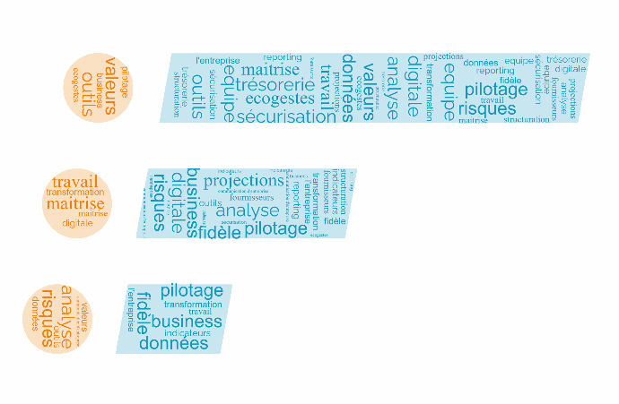 Forgacom : analyse et organisation d'entreprise.